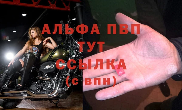 спайс Вязьма