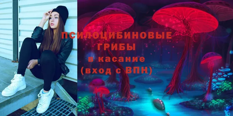 Галлюциногенные грибы MAGIC MUSHROOMS  Миньяр 